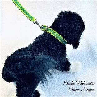 パラコード中、小型犬用リード No.10