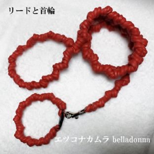 真っ赤な綿ロープの首輪とリードセットで愛犬決めおしゃれ