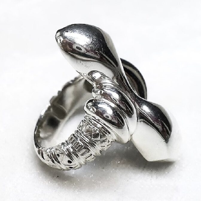 シルバーデザインリング立てかけた画像