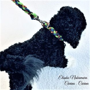 パラコード小型犬リード　No.8