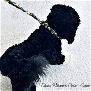 パラコード小型犬リード　No.7