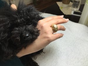 IMG_2336 | エツコナカムラ・アクセサリーブランド|舞ジュエリー