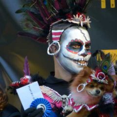 １０月はハロウイン、秋はイベントが目白押し