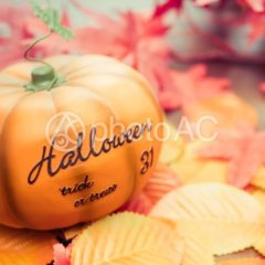 コロナ10万人超え、ハロウィンも静かに