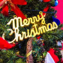 コロナ禍のクリスマスプレゼントに何を？