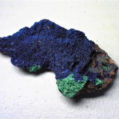 コロナ不安、毎日を癒やす？石