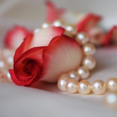 年末を機会に、パールやジュエリーのお手入れも