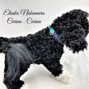 [公式]パラコードマクラメ編み＃6平結び小型犬首輪No17