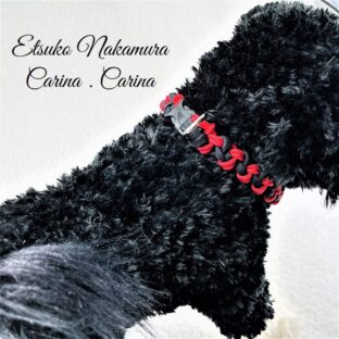 [公式]パラコードマクラメ編み＃4赤と藍の犬首輪No19