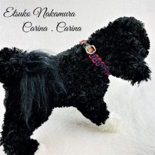 [公式]パラコードマクラメ編み＃7 小型犬首輪平結びNo18