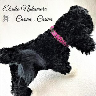 [公式]#9パラコード中、小型犬首輪ピンクとまだら No24