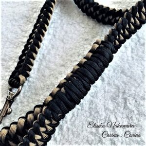 [ペット迷子札がおしゃれに] 首輪・リードなども美しさが求められてきた！