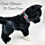 [公式]パラコード大、中型犬マクラメ編みNo34　たたみ編み首輪