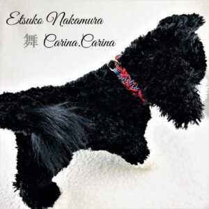 [池袋東武百貨店出店終了] ペット首輪マクラメはまだ知られていない！