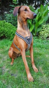 [マクラメ編みとはどういうもの？]  古くて新しい知られていないマクラメ編み