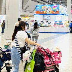 [ご報告　インターペット] 来年出展のつもりで下見行ってきて思うこと