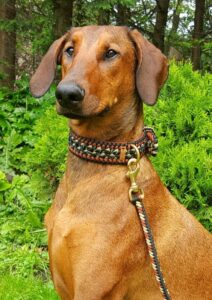 [マクラメ編みの犬猫首輪] メリット・デメリットって何？