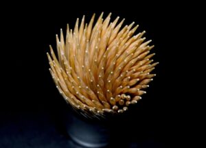 [ダイヤがキラッとしないのはなぜ？] ダイヤの洗浄どうしたら？