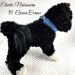 [公式]パラコードマクラメ編みNo56 ターコイズブルーとディープ・パープルの犬首輪