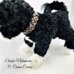 [公式]パラコードマクラメ編みNo52 茶と白＆黒の犬首輪