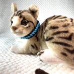 [公式]パラコードマクラメ編み＃45ターコイズブルーと黒色の犬猫首輪