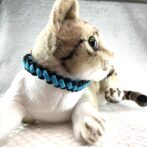 [公式]パラコードマクラメ編み＃45ターコイズブルーと黒色の犬猫首輪