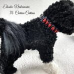 [公式]パラコードマクラメ編みNo54 ネイビーとルビー色の犬首輪