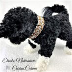 [公式]パラコードマクラメ編みNo53 茶と白＆黒の犬首輪