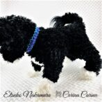 [公式]パラコードマクラメ編みNo66 ターコイズブルーとディープパープルの犬猫首輪