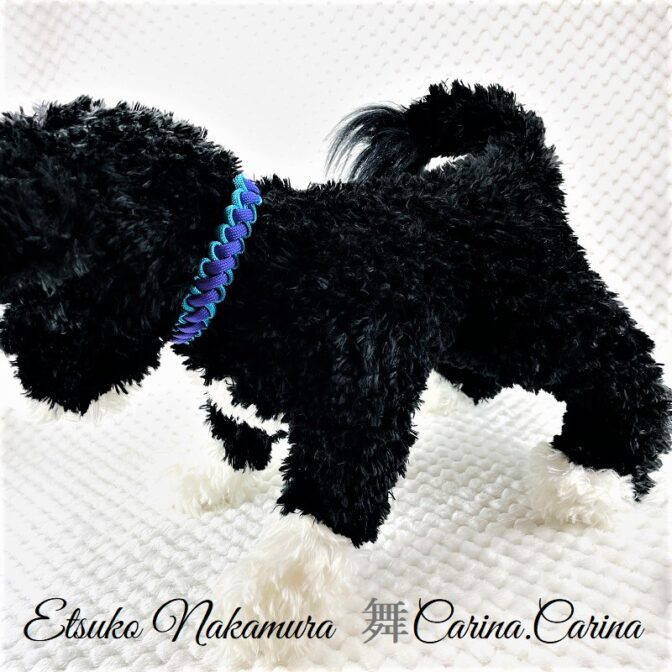 [公式]パラコードマクラメ編みNo66 ターコイズブルーとディープパープルの犬猫首輪