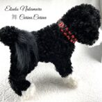 [公式]パラコードマクラメ編みNo51 赤とネイビー犬首輪