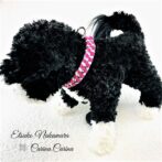 [公式]マクラメ編みNo47ローズ＆B.W矢羽風犬首輪