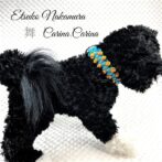 [公式]パラコードマクラメ編みNo61 ターコイズブルーとオレンジ＆イエローの犬首輪