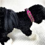 [公式]パラコードNo80マクラメ編みローズとまだら色中、小型犬用首輪