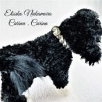 いぬねこ首輪No20の手作りキット