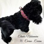 [公式]パラコード＃13No23 中、小型犬首輪ピンクとまだら