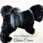 [公式]パラコードNo78マクラメ編み小型犬用首輪