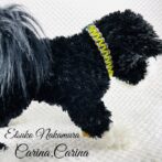 [公式]パラコードNo79マクラメ編み小型犬用首輪