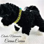 [公式]パラコードNo79マクラメ編み小型犬用首輪