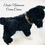 マクラメ編み犬猫首輪キット＃3No1（小型犬向き）