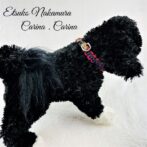 パラコードマクラメ編みNo18　小型犬首輪平結びのキット