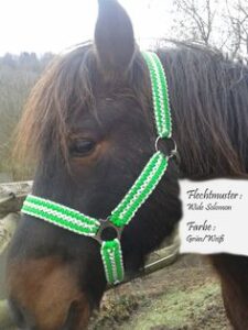 [お知らせ] 7月よりクラウドファンデング開始「インターペット」出展費用の応援を求めて！