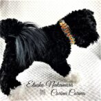 「キット]パラコード#49No70 マクラメ編みオレンジとブルーの犬猫首輪