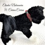 [キット]パラコード＃48No69 マクラメ編み赤まだらと赤の犬猫首輪