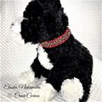 [キット]パラコード＃48No69 マクラメ編み赤まだらと赤の犬猫首輪