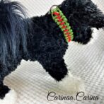 [公式]パラコード＃61No86マクラメ編みグリーンと赤色大、中型犬用首輪