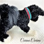 [公式]パラコード＃67No92マクラメ編みレッドとブルーの犬用首輪