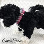 [公式]パラコード＃68No93マクラメ編みピンクとブルーの犬用首輪