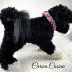 [公式]パラコード＃68No93マクラメ編みピンクとブルーの犬用首輪