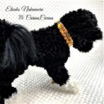 [キット]パラコード＃41No59マクラメ編みネオオレンジとハニーイエローと茶の犬首輪